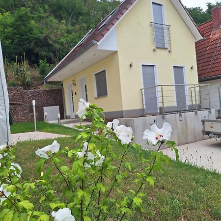 Ferienhaus Saaleblick Wettin 外观 照片