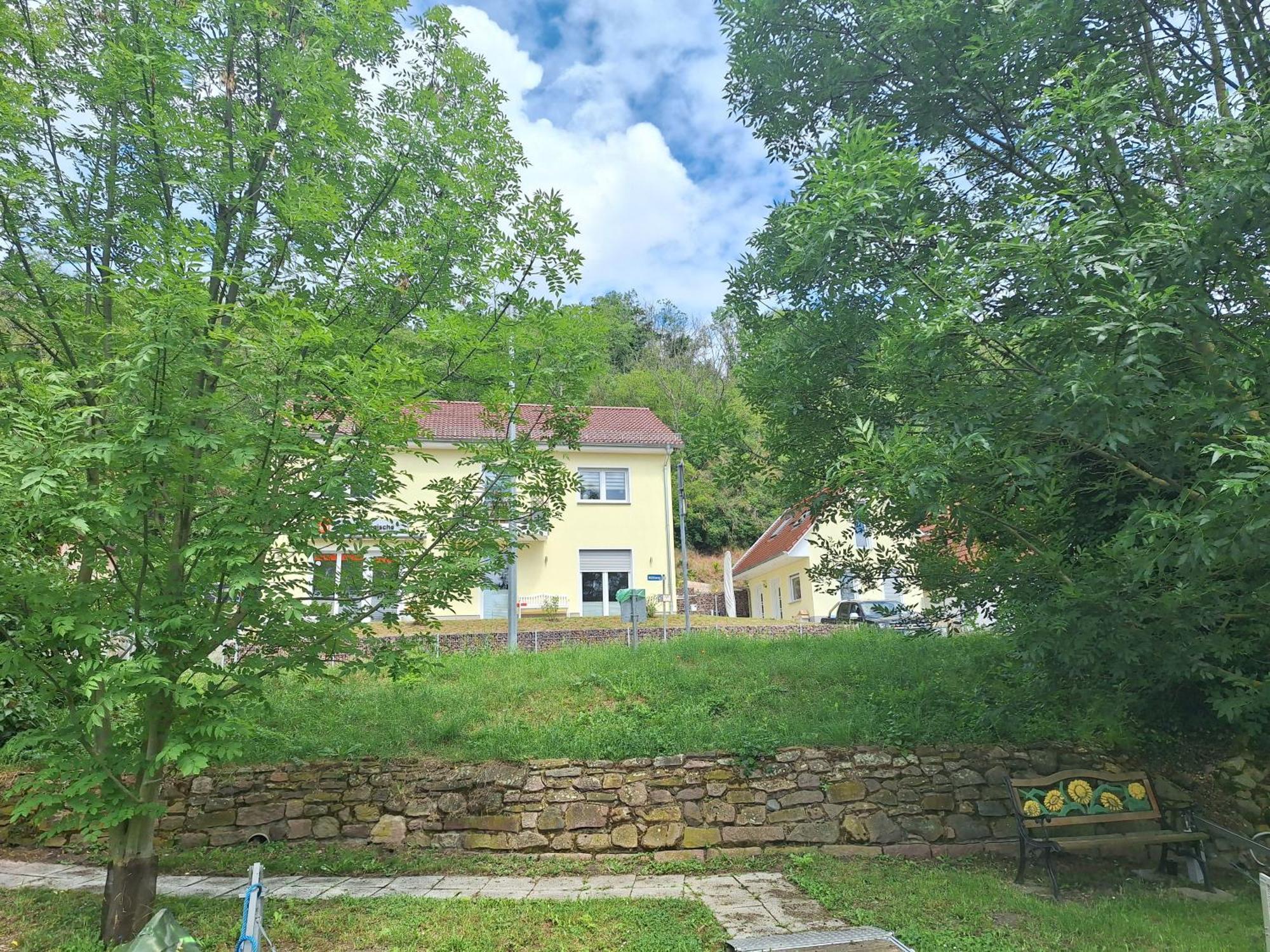 Ferienhaus Saaleblick Wettin 外观 照片