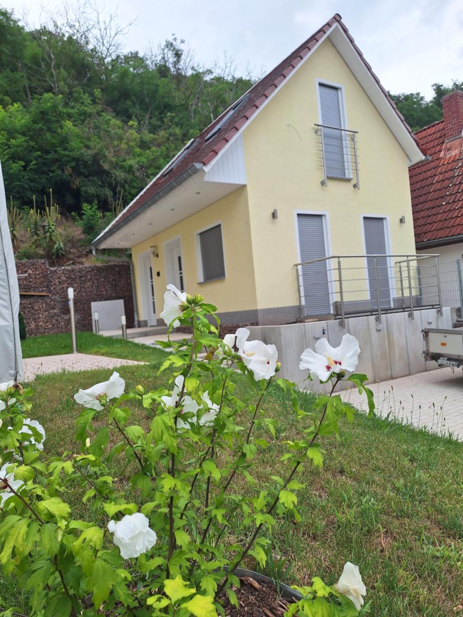 Ferienhaus Saaleblick Wettin 外观 照片
